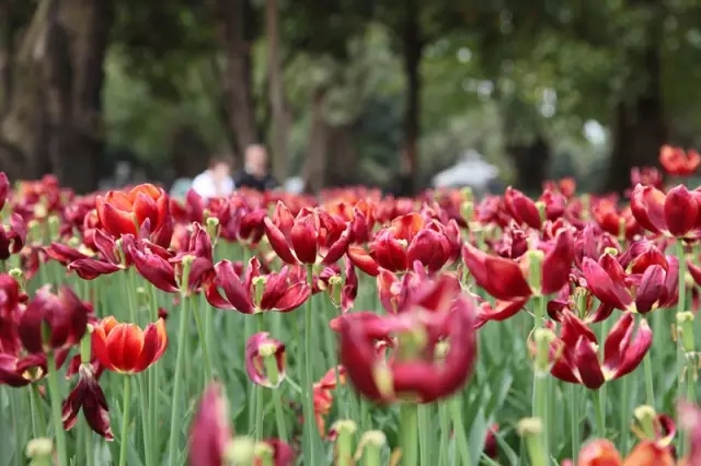 CQ9���ӡ�(�й�)Ψһ�ٷ���վ