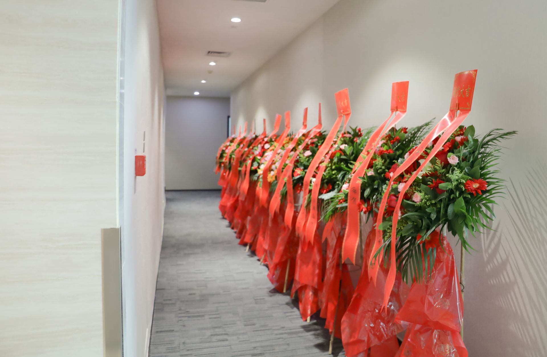 2d2b3ec8dae226bd0b26249c09dae12.jpg CQ9电子·(中国)唯一官方网站